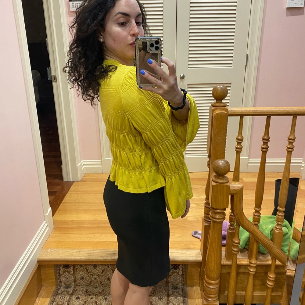 Zara cropped top.
